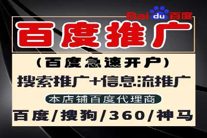 SEM竞价代运营：案例展示数据分析与应用
